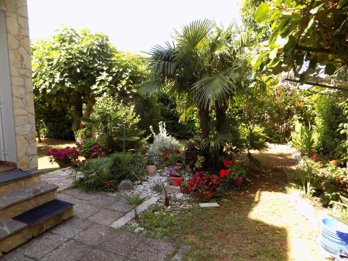 Oriella Apartmans&Room Novigrad Istria Esterno foto